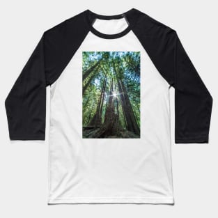 Hoh Rainforest #2 Baseball T-Shirt